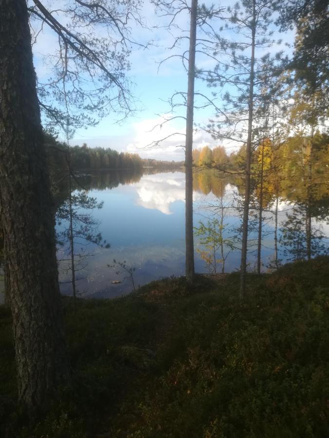 Tiirantuvat Villa Juankoski Bagian luar foto