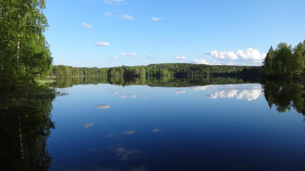 Tiirantuvat Villa Juankoski Bagian luar foto